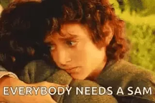 🤗 Samwise Gamgee The Lord of the Rings EVERYBODY NEEDS A SAM Sam Gewissies, vriendschap, the lord of the rings, tlotr, steun telegram sticker