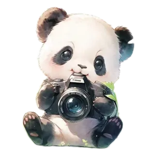🧸 Panda, Animal, Lindo, Cámara, Fotógrafo, Arte digital, Dibujo animado, Kawaii whatsapp sticker