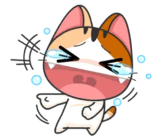 😂 고양이, 울음, 가리키는, 슬픈, 화난, 만화 telegram sticker