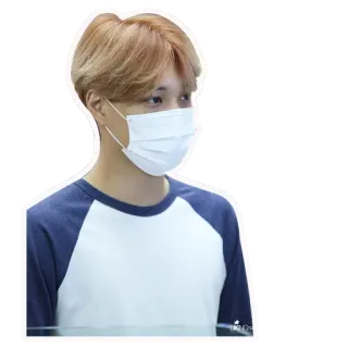 🕶 persona, maschera, coreano, ritratto, uomo, faccia telegram sticker