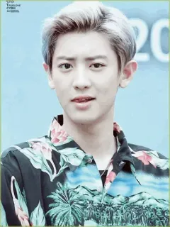 💮 Chanyeol chanyeol, kpop, idol, chanteur, exo, asiatique, coréen telegram sticker
