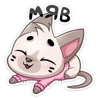 😼 мяв Katze, Kätzchen, süß, Cartoon, Tier, Miau whatsapp sticker