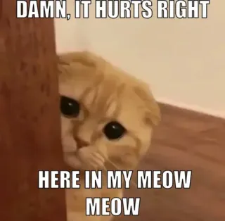 👀 DAMN, IT HURTS RIGHT
HERE IN MY MEOW MEOW gato, meme, herido, triste, emocional telegram sticker
