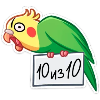 🔝 10 из 10 นก, นกแก้ว, คะแนน, แต้ม, ตลก, น่ารัก, สติกเกอร์ telegram sticker