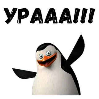 👻 Skipper Madagascar УРААА!!! pingwin, kreskówka, szczęśliwy, święto telegram sticker