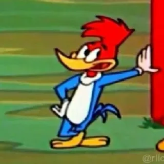 🤷‍♀ Woody Woodpecker 우디 우드페커, 만화, 애니메이션, 고전 만화, 새, 빨간 머리 telegram sticker