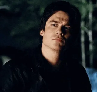 💉 Damon Salvatore The Vampire Diaries 吸血鬼, 剧情, 超自然, 电视剧, 伊恩·萨默海尔德, 演员 telegram sticker