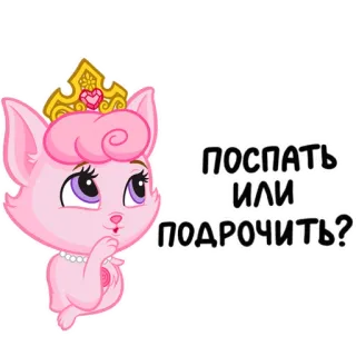 🤔 поспать или подрочить? kucing, putri, rusia, pertanyaan, lucu telegram sticker