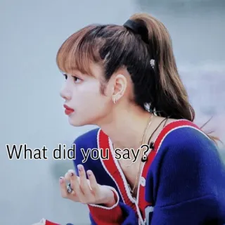 😨 Lisa What did you say? kpop, lisa, blackpink, what did you say, meme telegram sticker