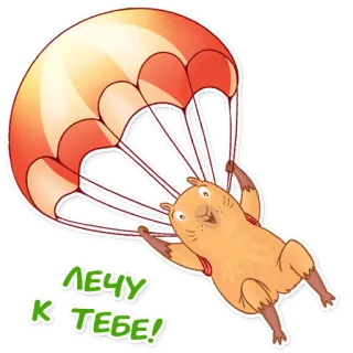 Капи Барри @MasterLamaArt telegram stickers