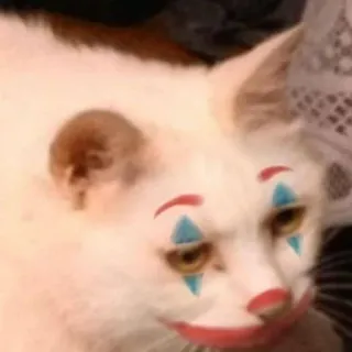 🐱 cat, clown, makeup, joker, animal telegram sticker