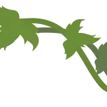 🌿
