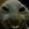 😂