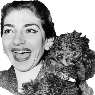 😂 Maria Callas opera, singer, dog, portrait, person telegram sticker