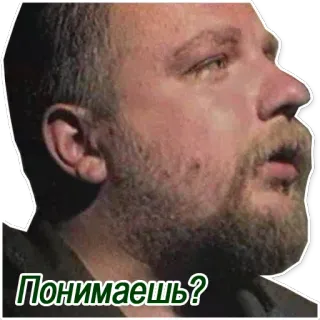 ❓ Понимаешь? russo, uomo, ritratto, meme whatsapp sticker