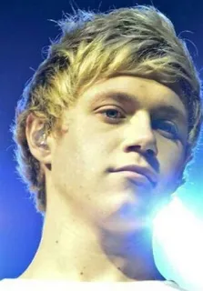 😕 Niall Horan cantante, One Direction, música pop, celebridad telegram sticker
