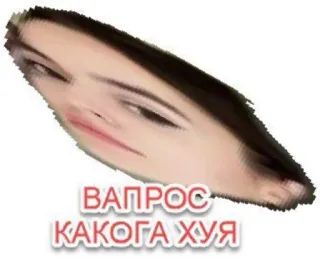 😨 ВАПРОС КАКОГО ХУЯ Meme, Question, Humour, Russe, Offensant telegram sticker