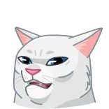 🤢 고양이, 밈, 웃긴, 냉소적인, 표정, 동물 telegram sticker