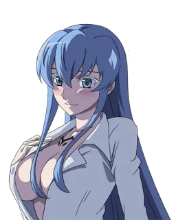 😏 Esdeath Akame ga Kill! anime, blauw haar, slecht, schurk, waifu telegram sticker