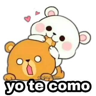 🤤 yo te como 熊, 可爱, 爱, 卡通 whatsapp sticker