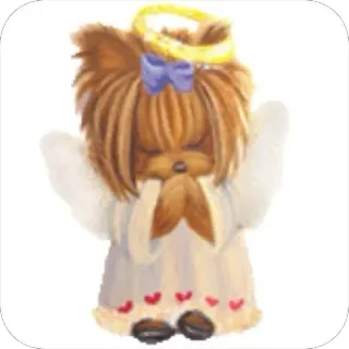 😇 Yorkie angel telegram sticker
