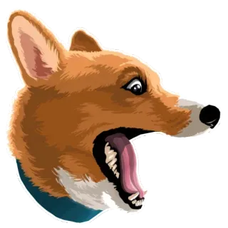 🐶 corgi, chó, động vật, thú cưng, hoạt hình, dễ thương, hài hước telegram sticker