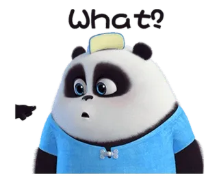 🤨 What? Panda, Dibujos animados, Sticker, Pregunta, Impactado, Confundido whatsapp sticker