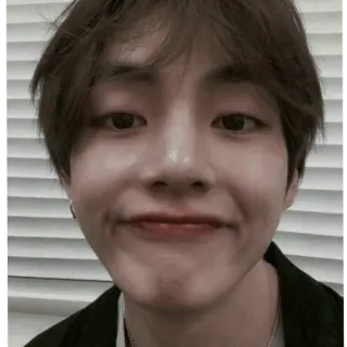 🏁 person, porträt, kpop, promi, asiatisch, mann telegram sticker