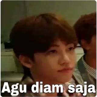 ✨ Agu diam saja whatsapp sticker
