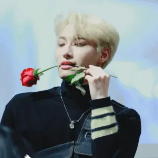 ✨ người, đàn ông, hoa hồng, hoa, chân dung telegram sticker