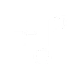 🎶