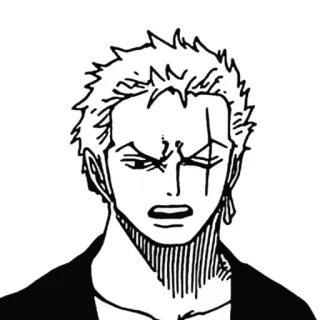 😠 Zoro One Piece Anime, Manga, One Piece, Zorro, Roronoa Zorro, Schwertkämpfer telegram sticker
