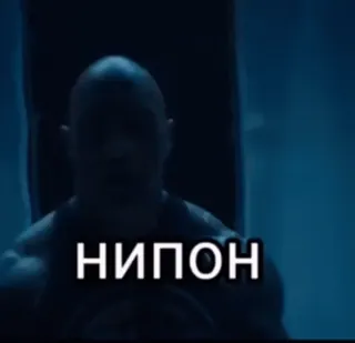 🤨 НИПОН telegram sticker