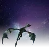 🐲