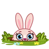 Mia Bunny @TgEmojis telegram emojis 👍