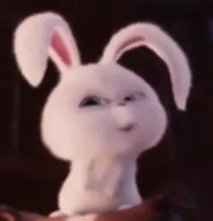 🐰 Snowball The Secret Life of Pets coelho, coelhinho, fofo, animal, animal de estimação, animado whatsapp sticker
