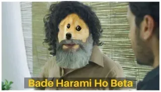 😐 Doge null Bade Harami Ho Beta doge, meme, bade harami ho beta, funny, reaction, indian meme telegram sticker