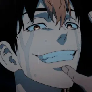 🌟 Anime, weinen, lächeln, Figur, emotional telegram sticker