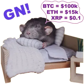 💤 GN!
BTC = $100k
ETH = $15k
XRP = $0.1 Kryptowährung, Ratte, Bitcoin, Ethereum, Finanzen, Meme telegram sticker