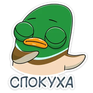 ☺️ СПОКУХА anatra, cartone animato, calmo, verde, uccello, animale whatsapp sticker