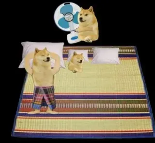 😂 Doge Doge memes telegram sticker