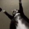 🕺