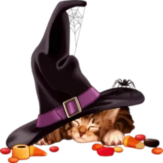 🐈 고양이, 마녀, 할로윈, 사탕, 귀여운, 모자 telegram sticker