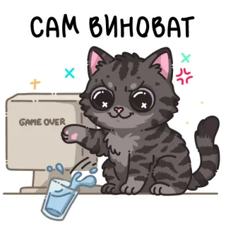 🐱 САМ ВИНОВАТ telegram sticker