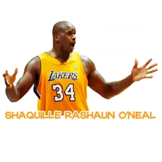 😱 Shaquille O'Neal SHAQUILLE RASHAUN O'NEAL Shaquille O'Neal, NBA, Lakers, Pallacanestro, Atleta, Sport telegram sticker