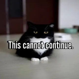 🤬 This cannot continue. cat, meme, funny, pet, animal, statement whatsapp sticker