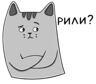 😳 РИЛИ? kat, vraag, cartoon, dier, schattig telegram sticker