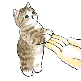 🤲 gato, gatito, mascota, animal, lindo, mano whatsapp sticker