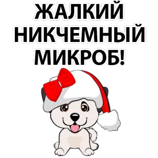 🤬 ЖАЛКИЙ НИКЧЕМНЫЙ МИКРОБ! puppy, winter, hat, cute, dog, russian telegram sticker