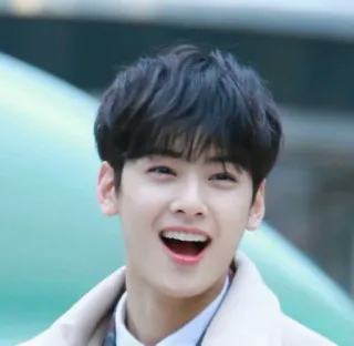 🥶 Cha Eun-woo K-POP, 俳優, アイドル, イケメン, 韓国, 有名人, チャウヌ telegram sticker